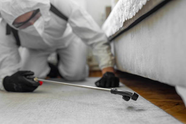 Professional Pest Control technician working in Hazelwood, MO