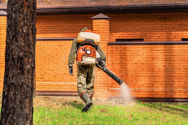 Trusted Cockroach Control service in Hazelwood, MO - Nex Pest Control
